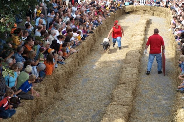 Impressionen vom Roßfelder Sichelhenket in Crailsheim